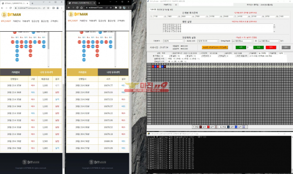 수익인증 - SNKSoft
