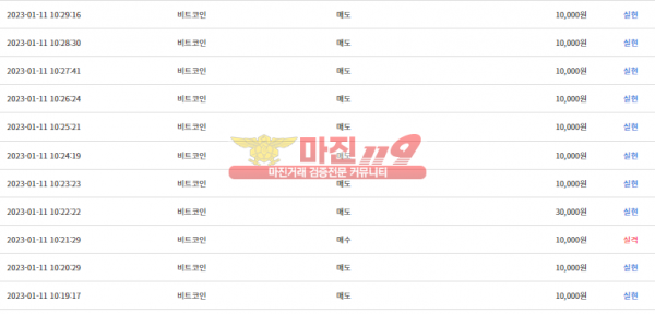 비트타워 VIP점 수익인증