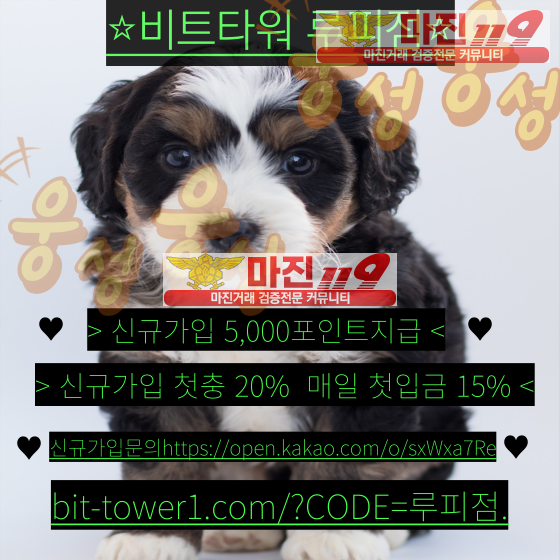 ⭐️비트타워 루피점 // 신규가족분 모집해요 // 확실하고 수익률높은 리딩 // ⭐️⭐️