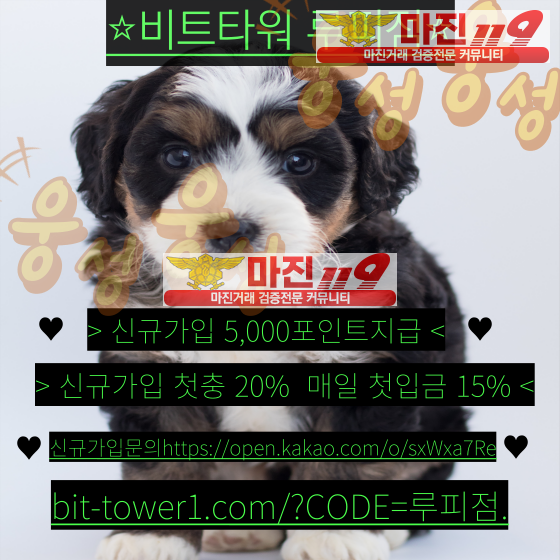 ⭐️⭐️비트타워 루피점/신규가족분 모집해요/확실하고 수익률높은 리딩⭐️⭐️