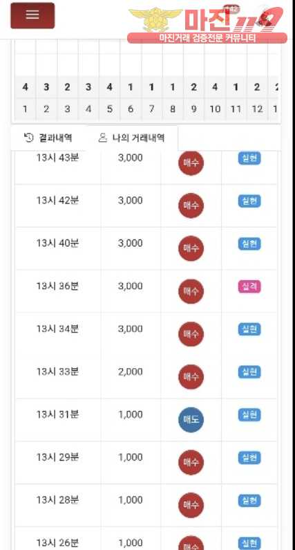 글로벌 제니스점