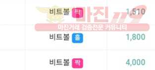 글로벌777점 수익인증