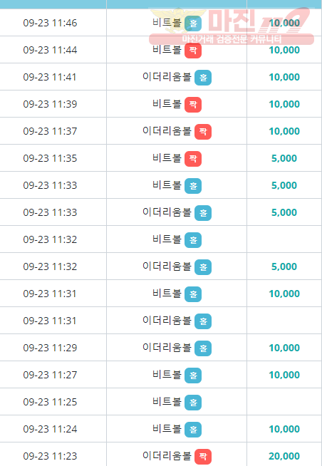 비트코리아 하나지사