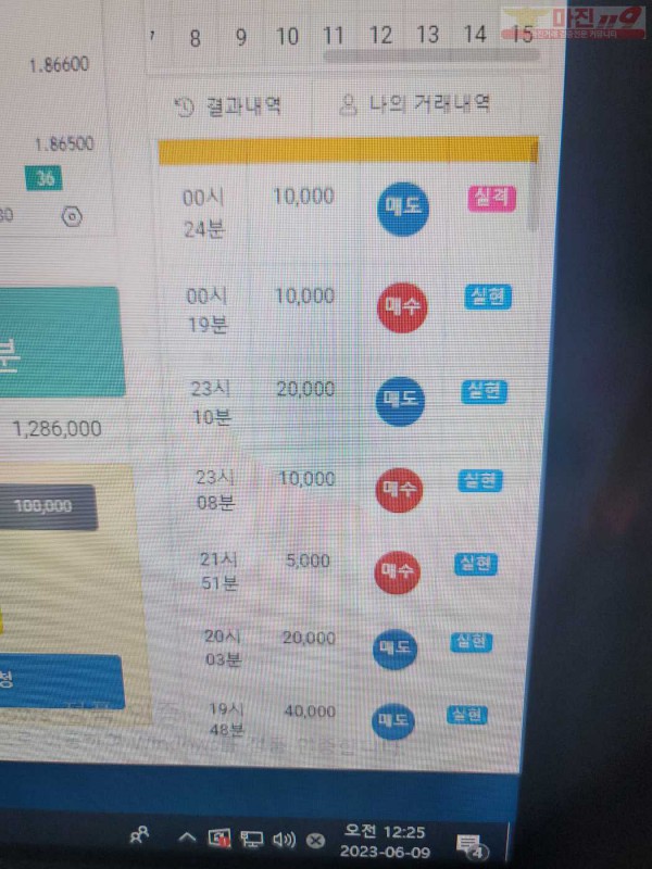 댄디수익인증