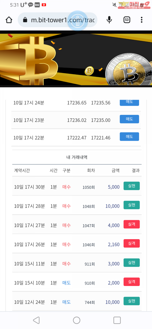 비트타워VIP점 수익인증