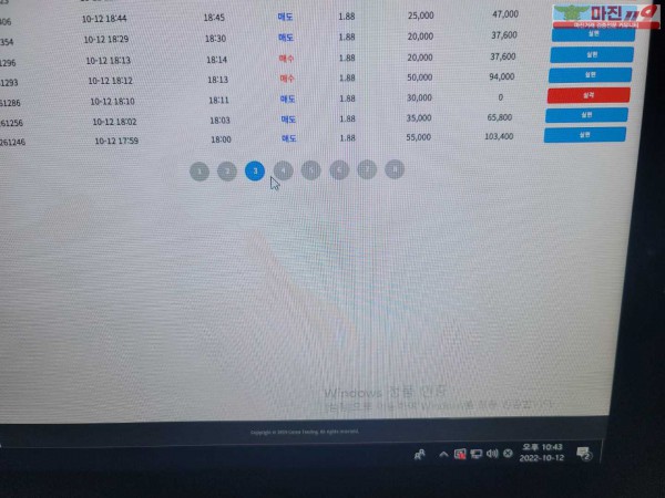 댄디점 코리아 수익인증