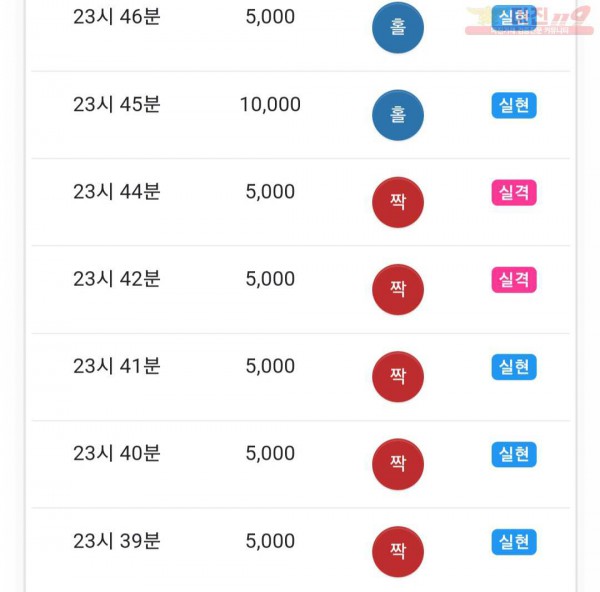 댄디점