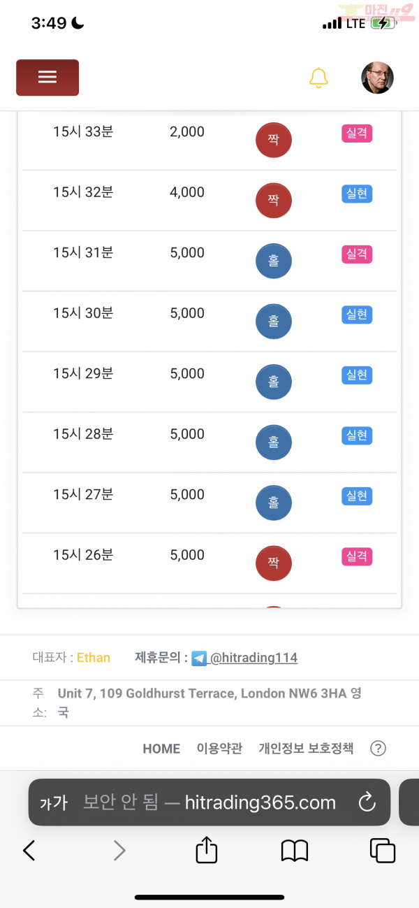 댄디점