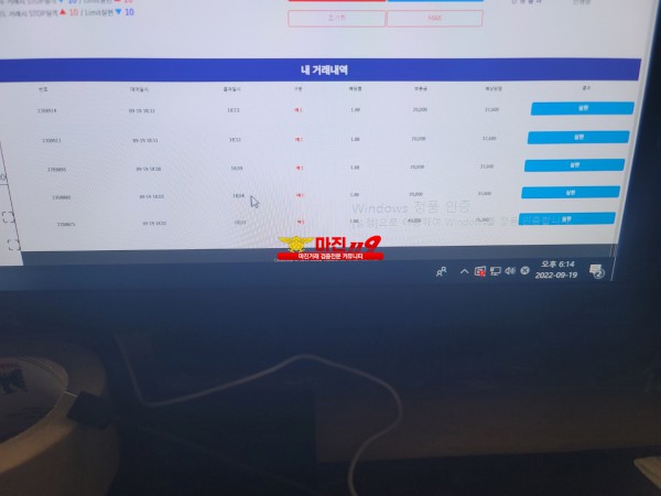 코리아 댄디점 수익인증