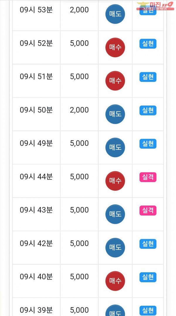 GT 댄디점