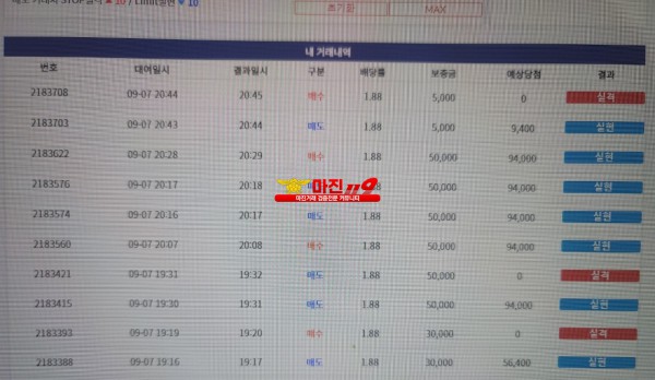 댄디점 코리아 수익