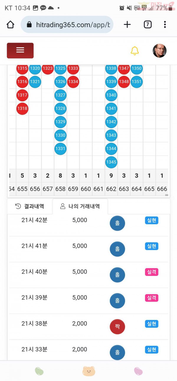 하이트레이딩777점히