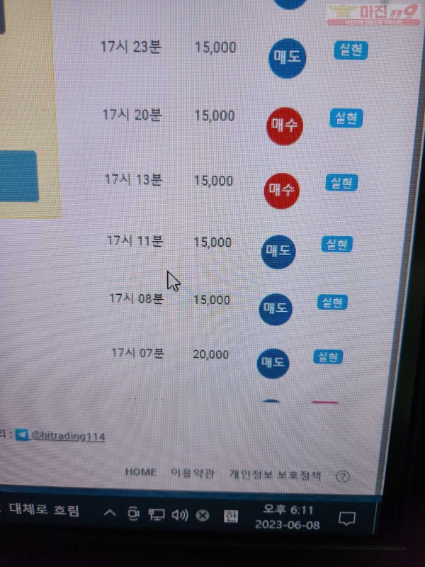 하이 댄디점 수익인증