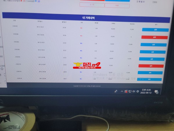 댄디점 코리아 수익인증