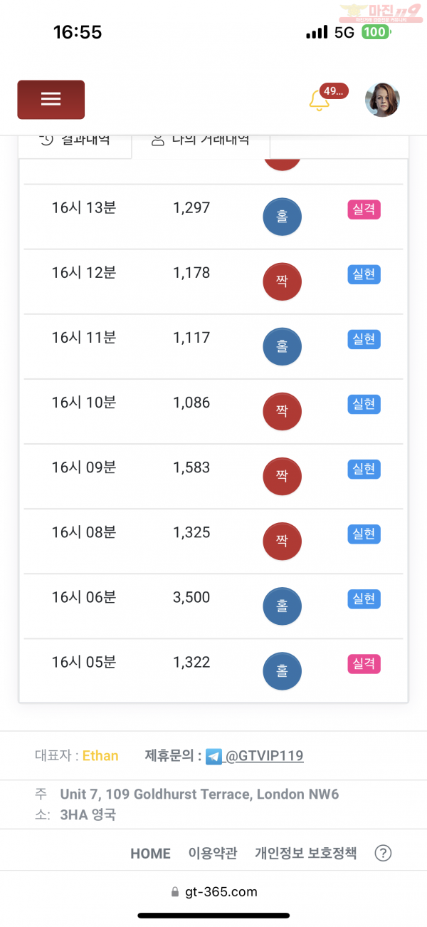 글로벌 비너스