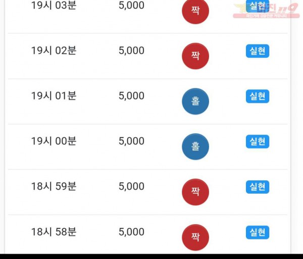 댄디점