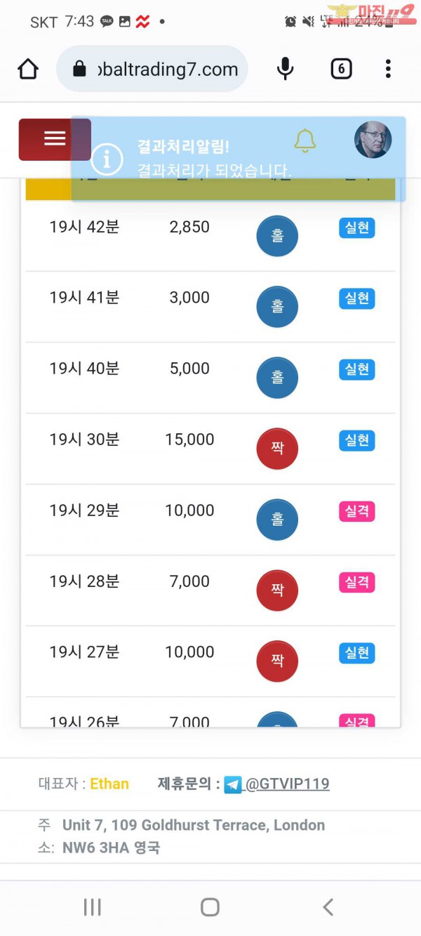 글로벌 수익