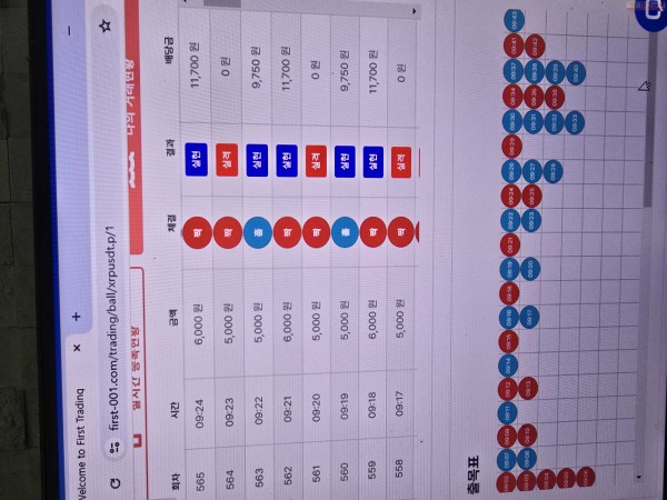 수익인증 페이백점