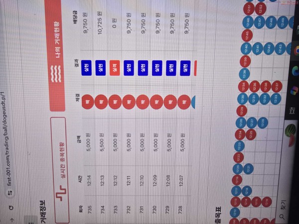 수익인증 페이백점