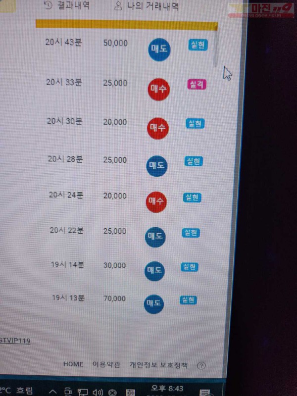 댄디점 글로벌 수익인증
