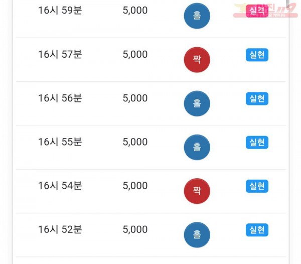 댄디점