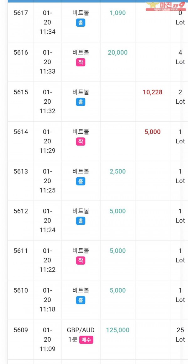 글로벌 댄디점 수익인증