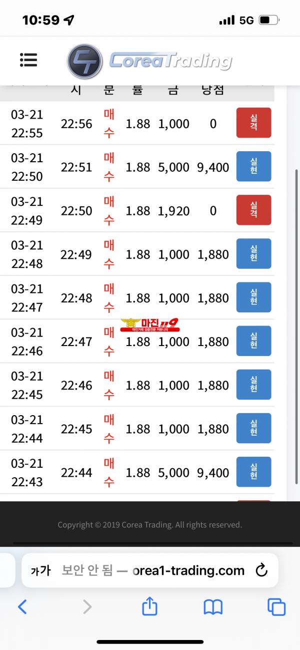 코리아 댄디점 수익인증