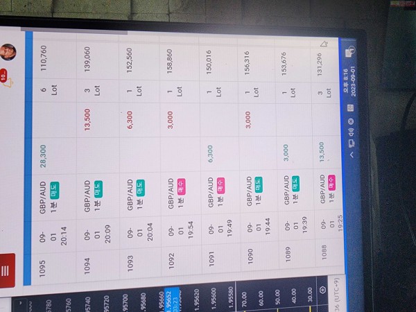 수익인증 페이백점