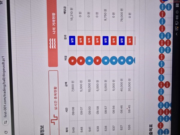 수익인증 페이백점