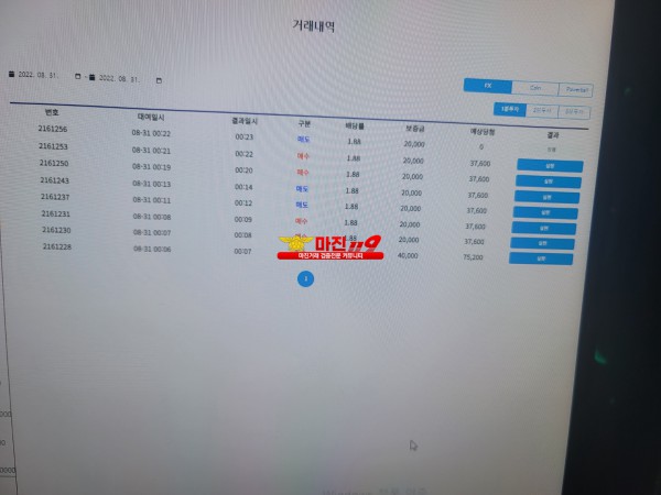 댄디점 코리아 수익인증