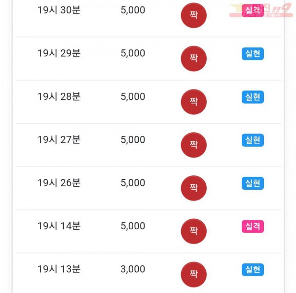 댄디점