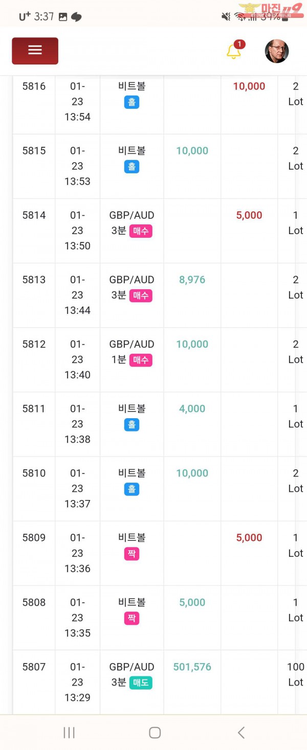 글로벌 댄디점 수익인증