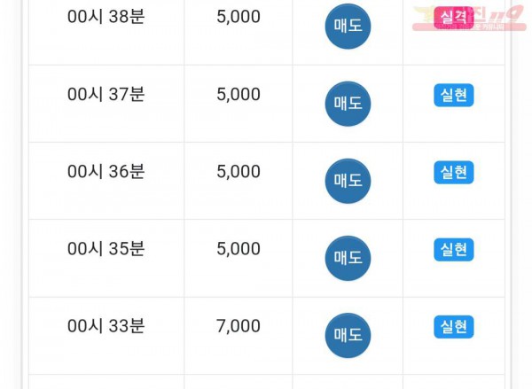 댄디점