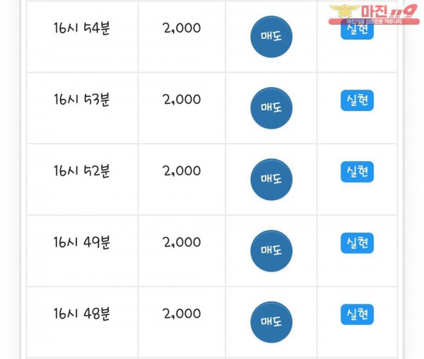 댄디점 수익인증