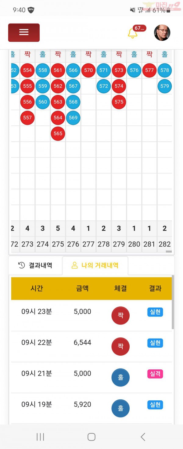 하이튼레이디일등점