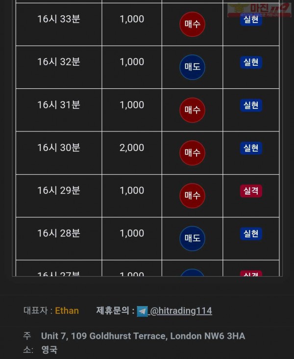 댄디점