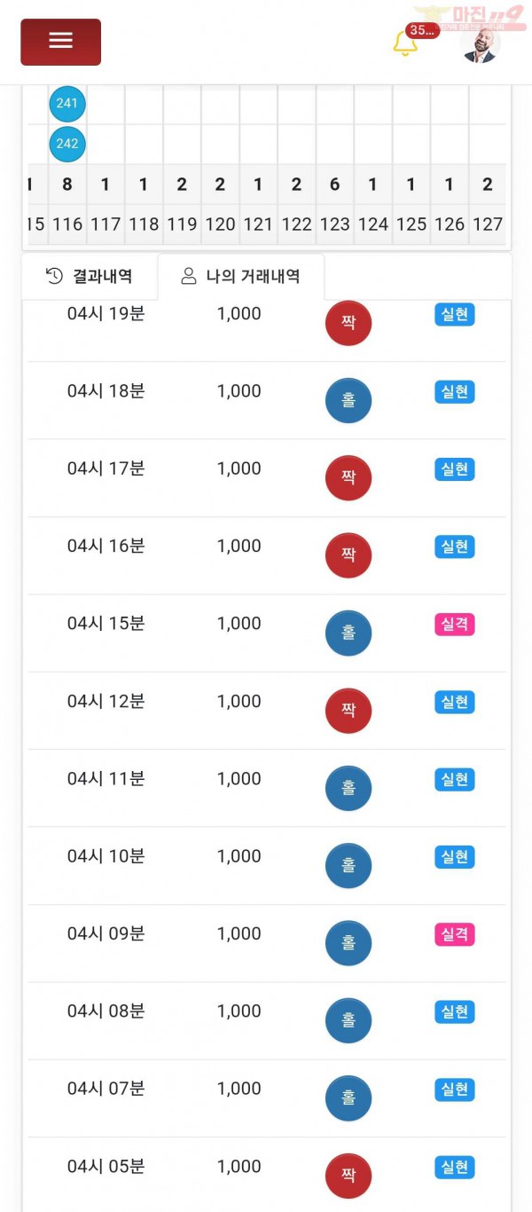 글로벌 제니스점