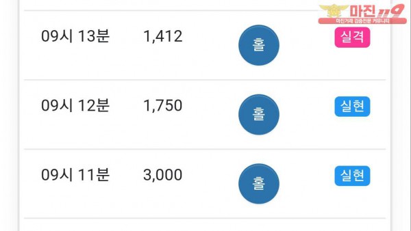 GT 777점 수익인증