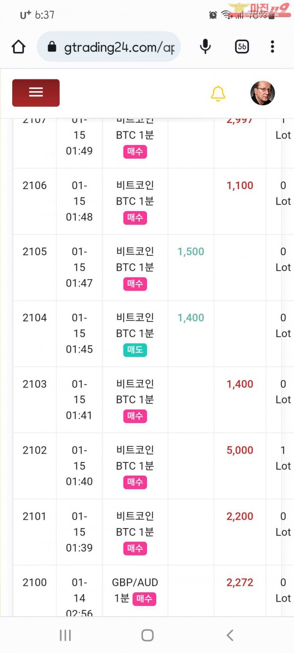 국대수익인증