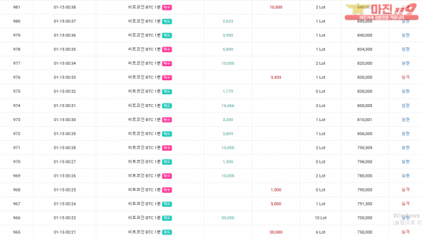 GT 국대점 수익인증