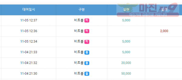 페이벡점 수익인증