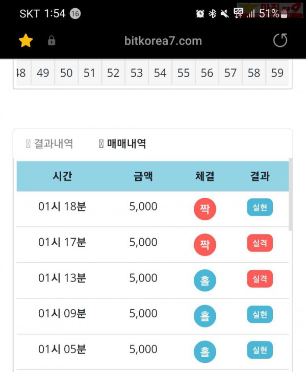 비트코리아 하나지사