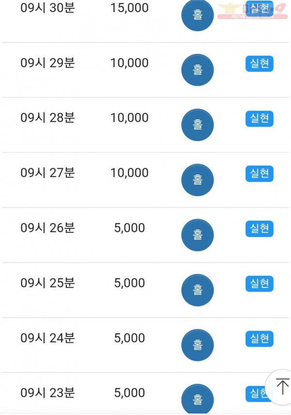 글로벌댄디