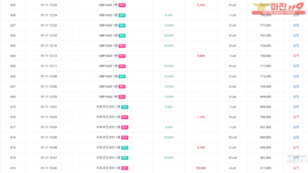 GT 국대점 수익인증